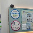 스위밍차일드 첨단점 | 아이 생존수영을 위한 <스위밍 차일드> 초등학생 여름 겨울방학 수영 특강 보낸 후기
