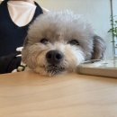 동광로5길 11 이미지