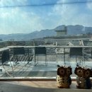 아지트 포 독 이미지