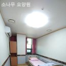 소나무요양원 | 정왕동요양원 소나무 요양원 입소후기