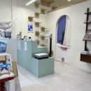 이쁘냥 고양이미용실 대전점 이미지