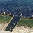 바다산책펜트하우스 이미지