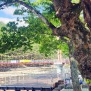 무병장수 둘레길 이미지