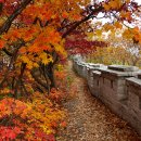 [우리 동네 옛이야기] 용산구 이태원동(梨泰院洞) 이미지