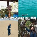 호주 여행 포트스테판 투어 시드니동물원 오크베일 놀러와시드니