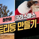 볼품 없는 소나무에 태양광 트리등을 입혔습니다 이미지