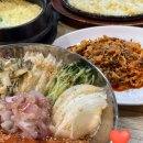 싱싱회수산