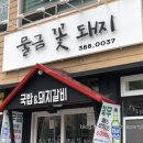 물금꽃돼지