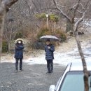 양지고을