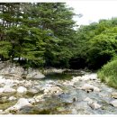 무릉도원면-11 이미지