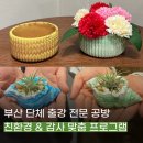 [4월원데이특강] 소중한 사람에게 립스틱을 | 부산 단체 기업 기관 출강 4월 5월 친환경 공예 가정의달 행사 수업 화분 카네이션 식물오브제 만들기