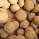 제일스마트영농 이미지