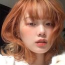 노을염색