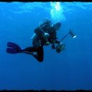 스쿠바 다이빙 기초 기술 (Scuba Diving Skill) 이미지