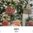 리린네일