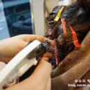 이영약품 이미지