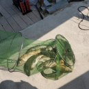 암반수낚시터 이미지