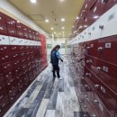 안중솔라스파 이미지