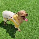 개린이 집합소 이미지