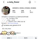 유멜리플라워