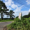 바리메오름 | [캠타] 바리메 오름 트레킹 후기(물뫼힐링팜) - 제주 워크숍 1일차