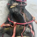 오궁낚시터 이미지