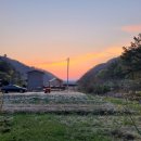 선셋파머스 이미지