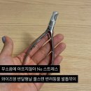 저소음 진동흡수 와이즈영 반려동물 강아지 올스텐 반달날 발톱깎이