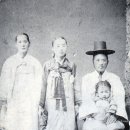 조선 Daum카페
