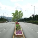 아산로L 이미지