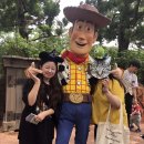 젤리마운틴 이미지
