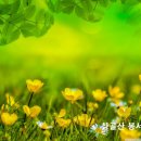제1541호 이미지