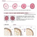 올디브헤어 이미지