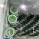 한마당숯불갈비 이미지