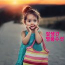 상록세탁수선 이미지