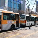 전국자동차노동조합연맹 울산지역버스노동 이미지