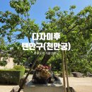 연수경찰서내 | 후쿠오카 6월 여행 다자이후 텐만구(천만궁) 신사 관람후기