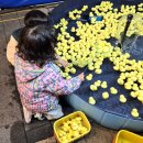 아이에스비즈타워 건너편 | 안양 아이와 가볼만한 곳 아이에스비즈타워 야시장 프리마켓 후기