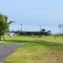 플라밍고C.C 이미지