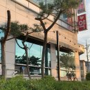 원남로-7 이미지