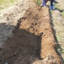 김미경농장 이미지