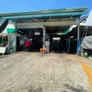 둥지카센타 이미지