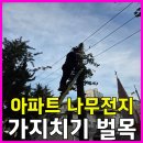 용산-현장-87 | 용산 벌목 업체 나무가지치기 전문
