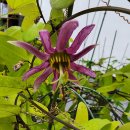 파란바이오 이미지