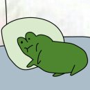 앤더스제주