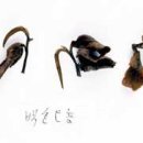 미인장수 이미지