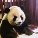 분당-304 이미지