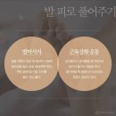 J.L필라테스