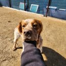 새말1길 이미지