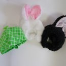 고양이 모자 이미지